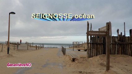SEIGNOSSE  océan le 13.02.2020