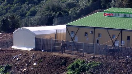 adalar'da atları satın alma işlemi başladı