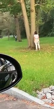 People Acting Odd in the Park ViralHog