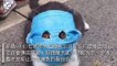 CollectionVideo-petmao_curation-petsmao.nownews-copy1-PetsMaoParser-2020/02/14-09:30