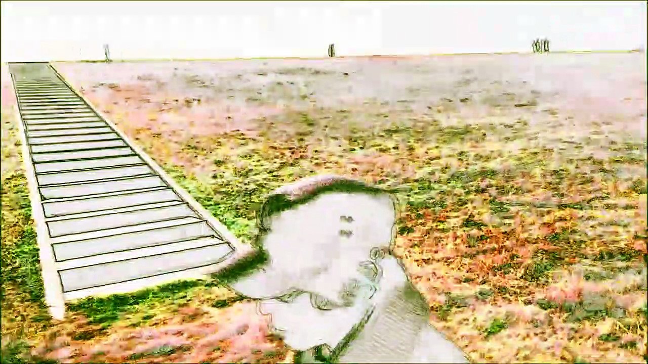 Toyo - All Need The Light_[MV]