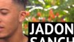 Player Profile - Jadon Sancho