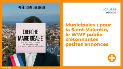 Municipales : pour la Saint-Valentin, le WWF publie d'étonnantes petites annonces
