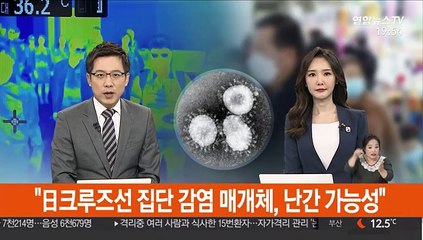 "日크루즈선 집단 감염 매개체, 난간 가능성"