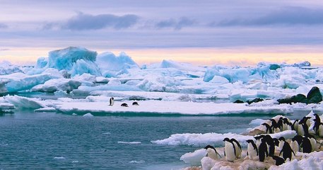 Une température record de plus de 20°C enregistrée dans l'Antarctique, « quelque chose de différent se passe »