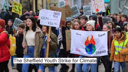 Sheffield Youth Strike for Climate