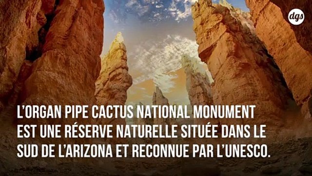 Trump anéantit des sites sacrés amérindiens avec de la dynamite pour la construction de son mur