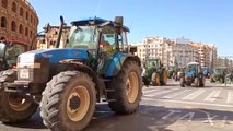 Tractores recorren el centro de València junto a agricultores para defender el campo valenciano