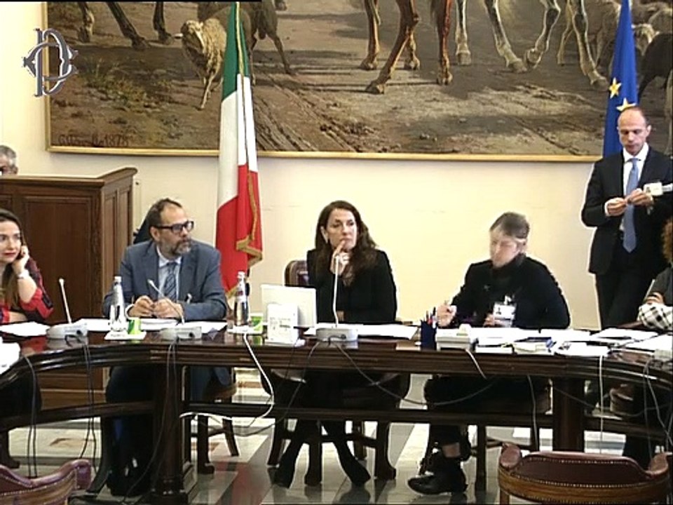 Roma - ​Audizione Anci su veicoli elettrici (13.02.20)