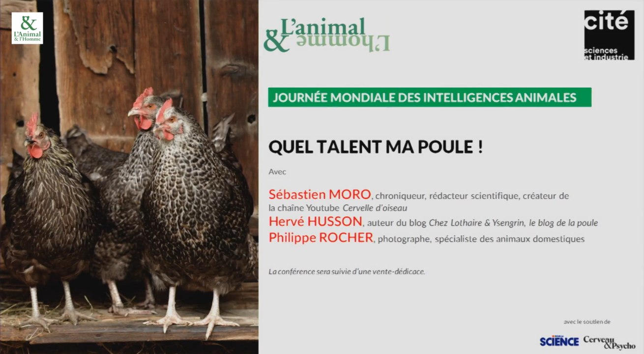 Conférence de Philippe Rocher, Hervé Husson et Sébastien Moro : Quel talent ma poule !