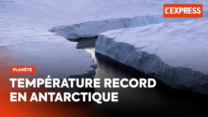 Antarctique : plus de 20 degrés enregistrés, une température record
