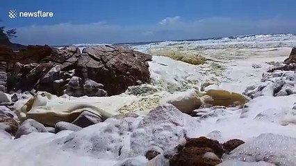 Australian beach with 'unusually high tide' and sea foam closed ahead of Cyclone Uesi