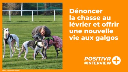 Dénoncer la chasse au lévrier et offrir une nouvelle vie aux galgos