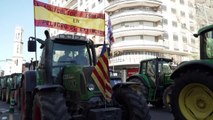 Tractors snarl Valencia as farmers demand fair prices