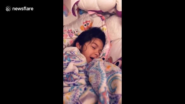 Heartwarming rescue story of abandoned cat Thor in Los Angeles