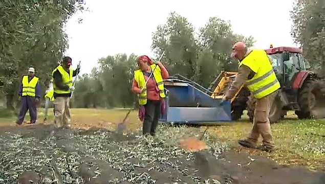El Gobierno deja fuera a las organizaciones agrarias de una reunión sobre la crisis del campo