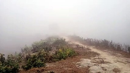 Beautiful fog