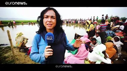 #euroviews : soldats texans en Lituanie, Air Italy en faillite, vautours empoisonnés en Grèce