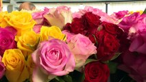 Saint-Valentin: les avocats bordelais en grève offrent des roses aux magistrats