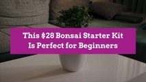 This $28 Bonsai Starter Kit Is Perfect for Beginners