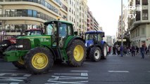 Agricultores españoles vuelven a protestar para pedir 