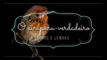 O uirapuru-verdadeiro- MITOS e LENDAS