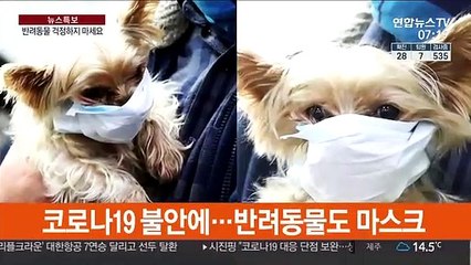 반려동물도 위험?…강아지용 마스크도 등장