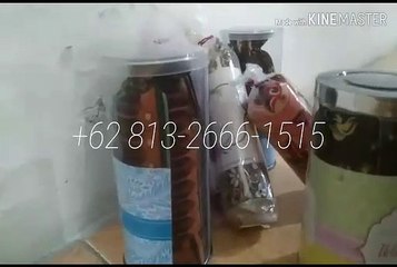 TERLARIS!!! +62 813-2666-1515, Souvenir Aqiqah Bayi Perempuan wilayah Surabaya