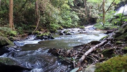 Beautiful Waterfall with meditation music - Mesmerize