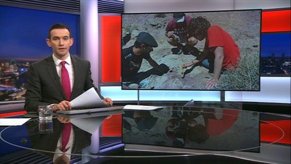 Scientists in Argentina discover a new dinosaur related to the Tyrannosaurus Rex