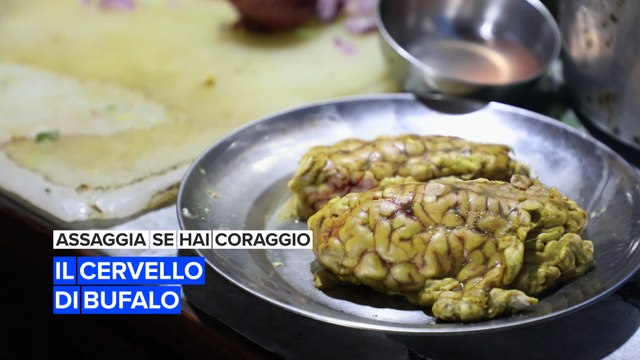 Assaggia se hai coraggio: il cervello di bufalo