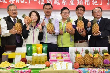 武漢肺炎》台灣鳳梨銷中減26％ 陳吉仲允多管齊下提高外銷量