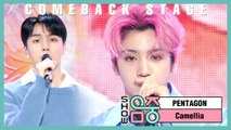 [Comeback Stage] Pentagon -Camellia, 펜타곤 - 동백꽃 Show Music core 20200215