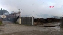 Adana'da pamuk fabrikasının deposundaki yangın kontrol altında sürüyor - 2