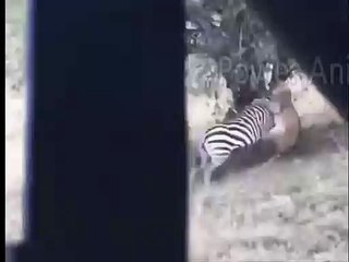 진천출장서비스 진천출장서비스O1Og2154g6609｛카톡MBN74｝ 진천출장마사지샵 진천출장안마on진천출장안마cos여3♪⇔∃마사지황형♥◆≪