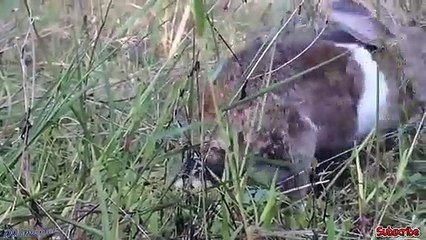 동구출장서비스 동구출장서비스O1OE9914E7203｛카톡MOK8｝ 동구출장마사지샵 동구출장안마on동구출장안마cos여3♪⇔∃마사지황형♥◞≪