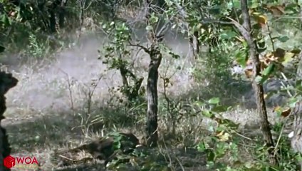 음성출장서비스 음성출장서비스O1OE6579E3382｛카톡COM23｝ 음성출장마사지샵 음성출장안마on음성출장안마cos여3♪⇔∃마사지황형♥∿≪