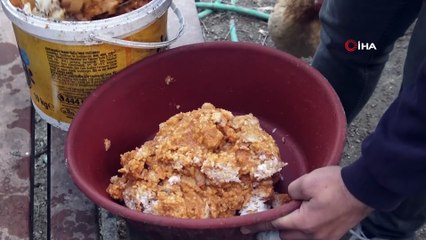 Atıklarla beslenen tavukların yumurtaları her sabah öğrencilere kahvaltı oluyor