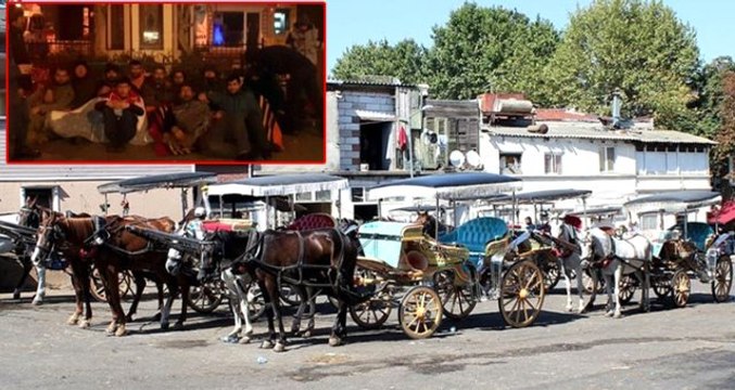 İBB'nin kararı faytoncu esnafını ikiye böldü! Oturma eylemine başladılar