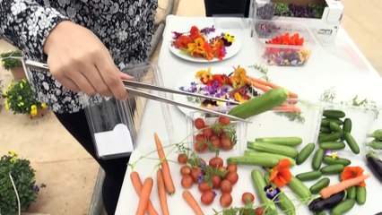 Lüks sofraların tercihi minyatür sebzeler Rusya ve Arap pazarına açıldı - ANTALYA