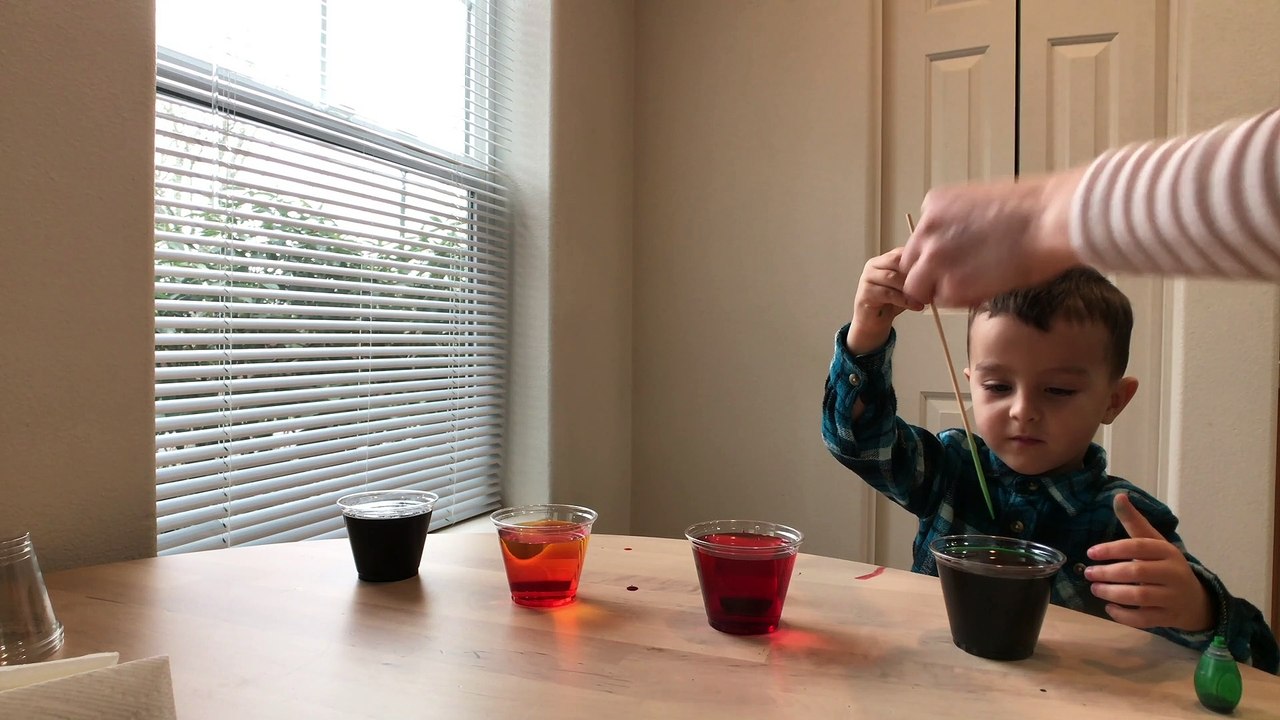 SCIENCE EXPERIMENTS WALKING WATER FOR KIDS