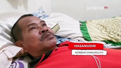 Awas! Wabah Virus Chikungunya Mulai Menyerang, Ini Gejalanya...