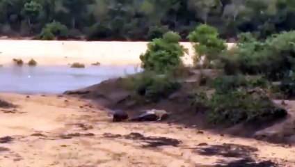 금정출장서비스 금정출장서비스O1Og2118g2518｛카톡KTX53｝ 금정출장마사지샵 금정출장안마on금정출장안마cos여3♪⇔∃마사지황형♥∶≪