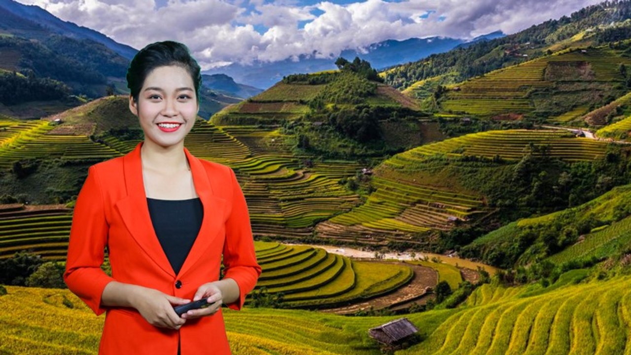 Thời tiết cuối ngày -15/02/2020