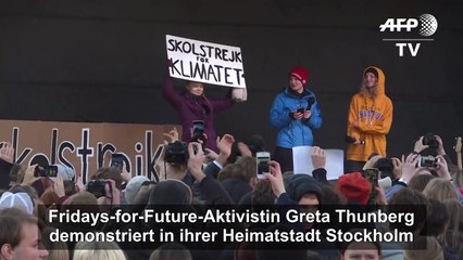 Thunberg: "Wir befinden uns am Anfang der sechsten Massenausrottung"