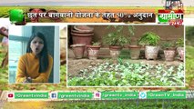 Kisan Bulletin : Terrace Gardening (Rooftop Gardening) योजना के तहत 50% Subsidy |  Grameen News