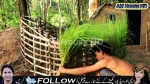 How To Build House , Ground water , Swimming pool And Gym room In Forest AM House HD