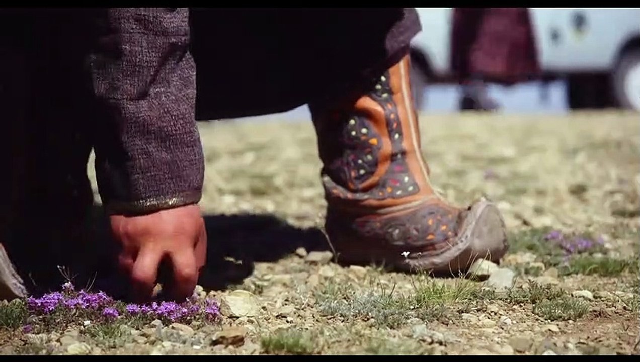 EINE GRÖSSERE WELT Film - Trailer und Clip