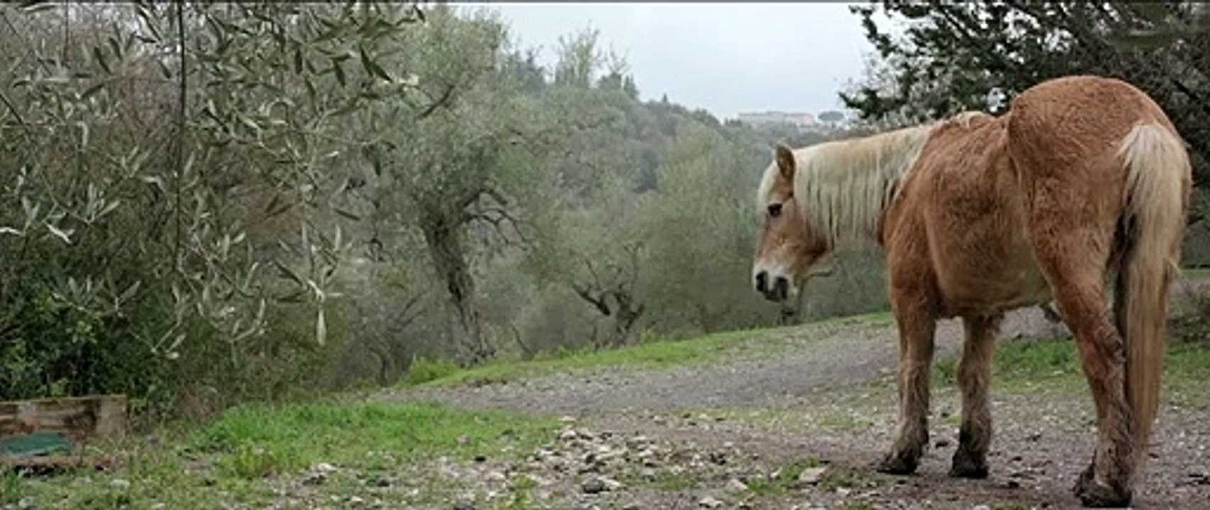 Die Liebe frisst das Leben Film