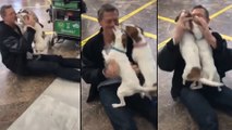 Viral Video : Pet Dogs Pure Love Towards Owner
